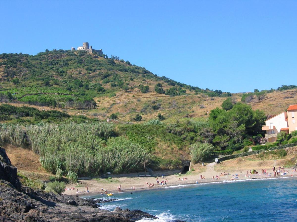 Appartement Avec Vue Sur Mer A Port Vendres 60 M² Balcons 外观 照片